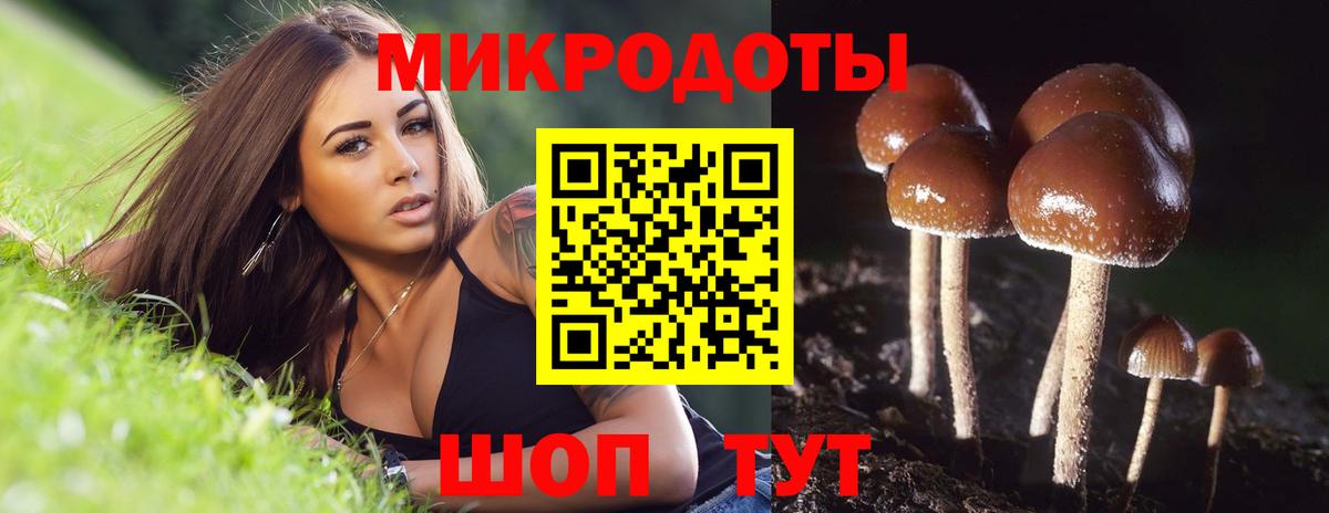 Псилоцибиновые грибы MAGIC MUSHROOMS  Вход с VPN  закладка  Дагестанские Огни 